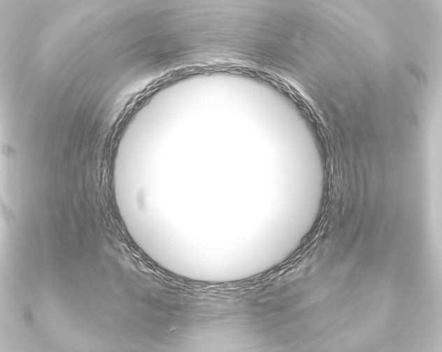 X0000090951016200708021057