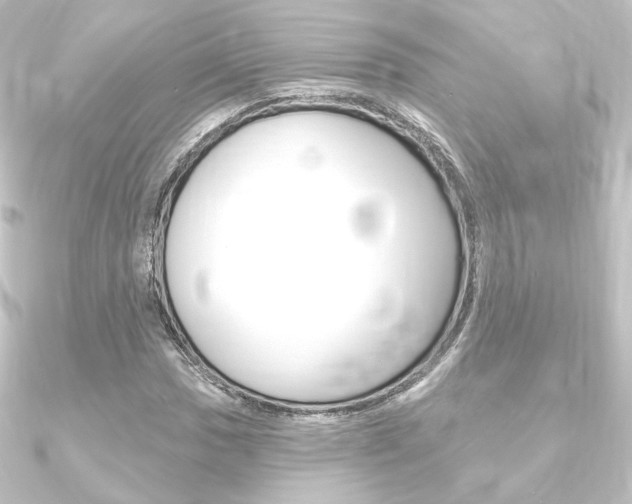 X0000090951017200708021057