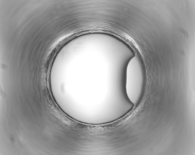 X0000090951019200708021057