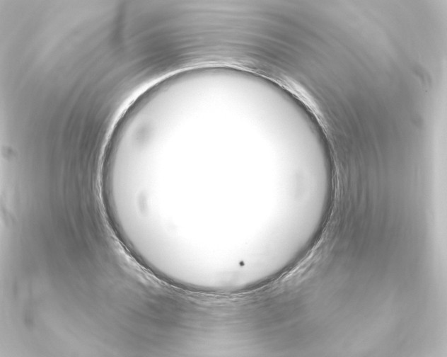 X0000090951020200708021057