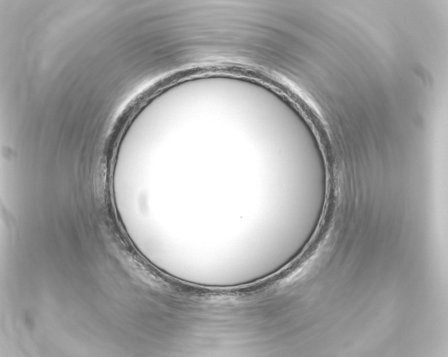 X0000090951021200708021057