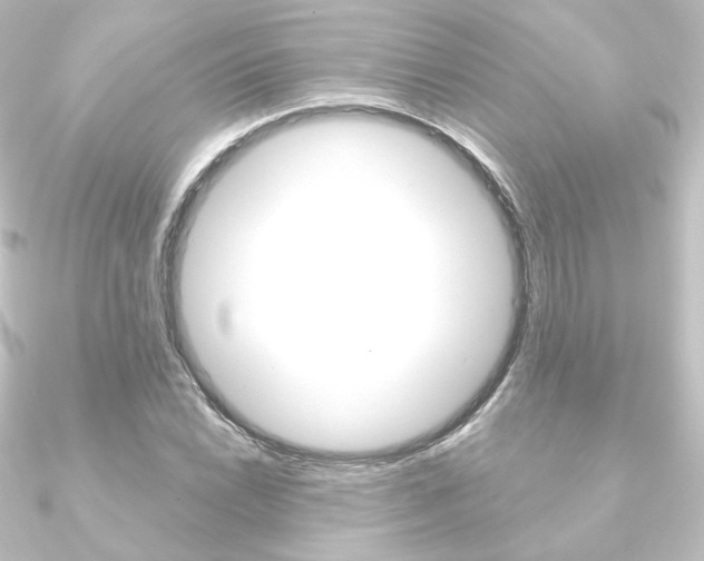 X0000090951022200708021057
