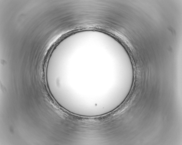 X0000090951023200708021057