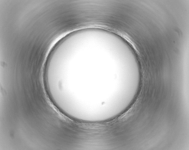 X0000090951024200708021057