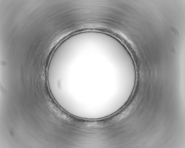 X0000090951025200708021057
