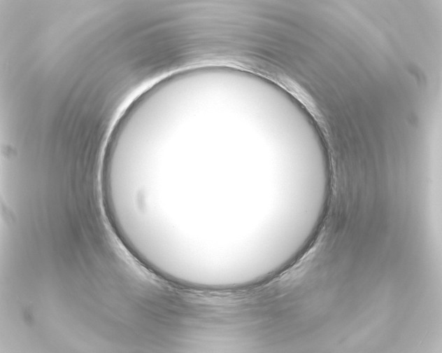X0000090951028200708021057