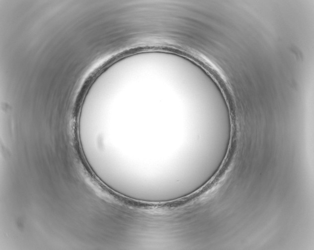 X0000090951029200708021057