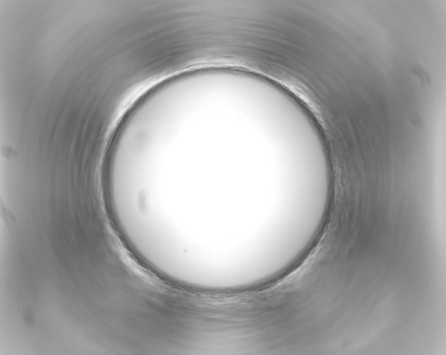 X0000090951030200708021057