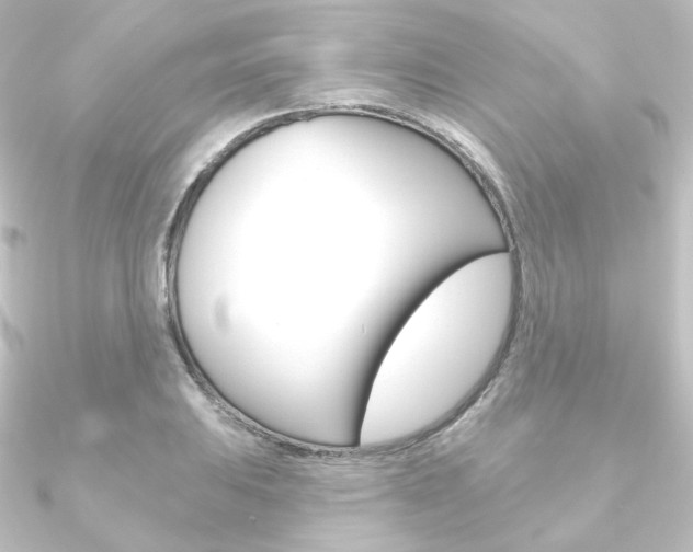 X0000090951031200708021057