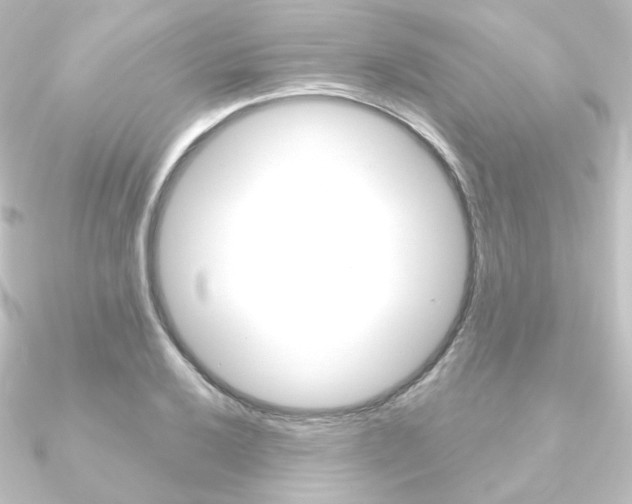 X0000090951032200708021057
