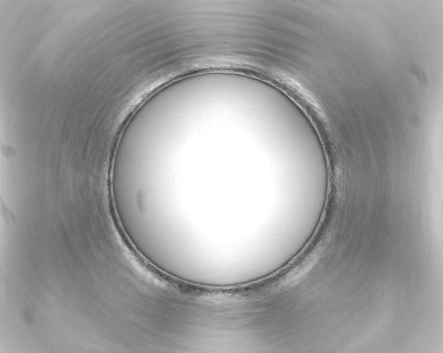 X0000090951033200708021057