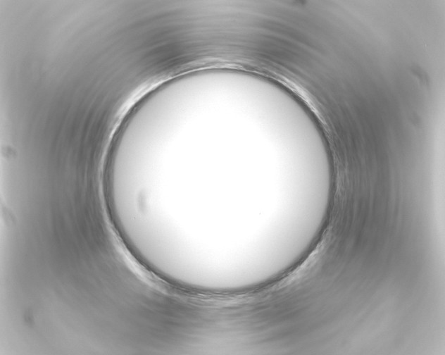 X0000090951034200708021057