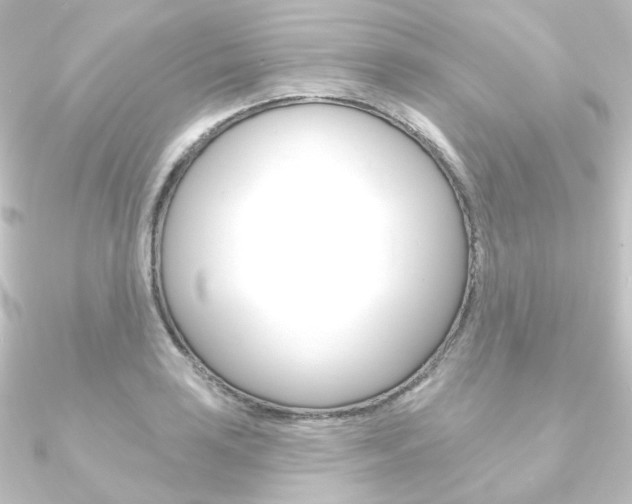 X0000090951035200708021057