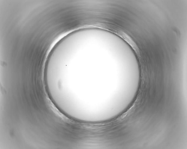 X0000090951036200708021057
