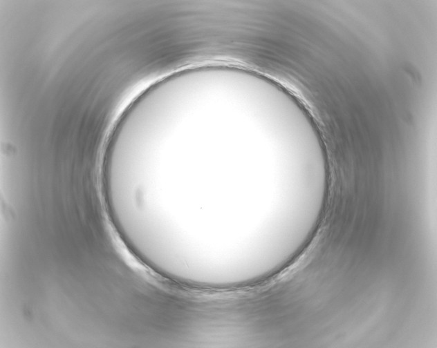 X0000090951038200708021057