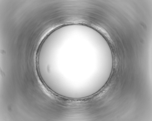 X0000090951039200708021057