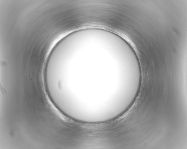 X0000090951040200708021057
