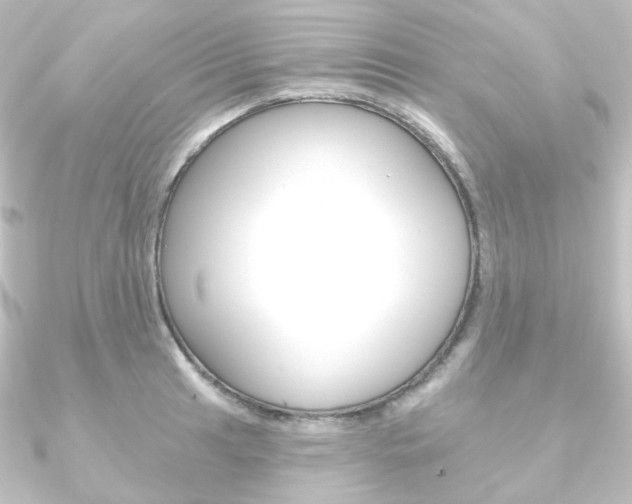 X0000090951041200708021057