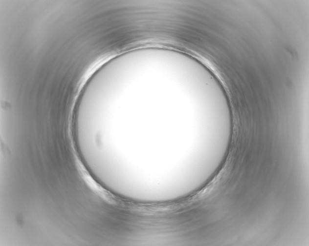 X0000090951042200708021057