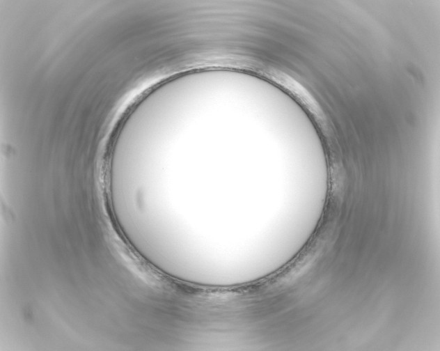 X0000090951043200708021057