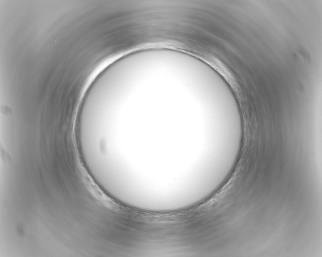 X0000090951044200708021057