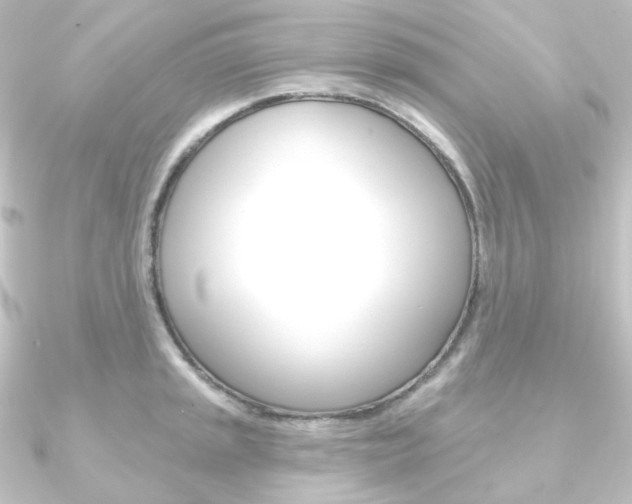 X0000090951045200708021057