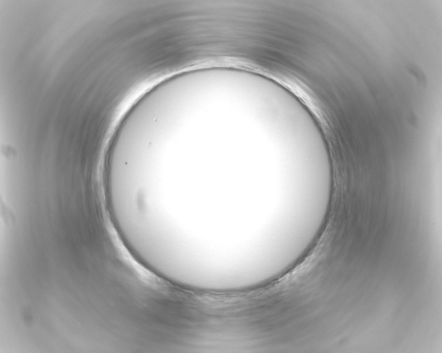 X0000090951046200708021057