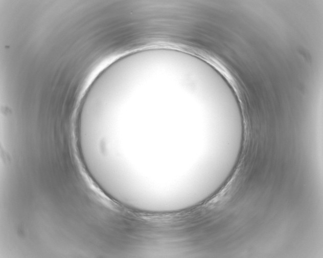 X0000090951048200708021057