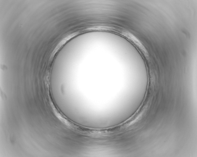 X0000090951049200708021057