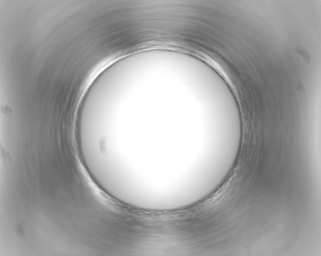 X0000090951050200708021057