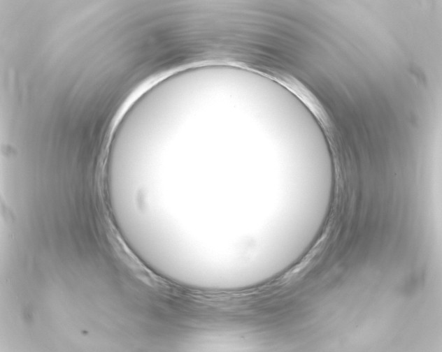 X0000090951052200708021057