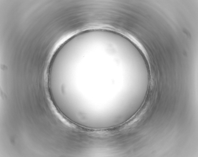 X0000090951053200708021057