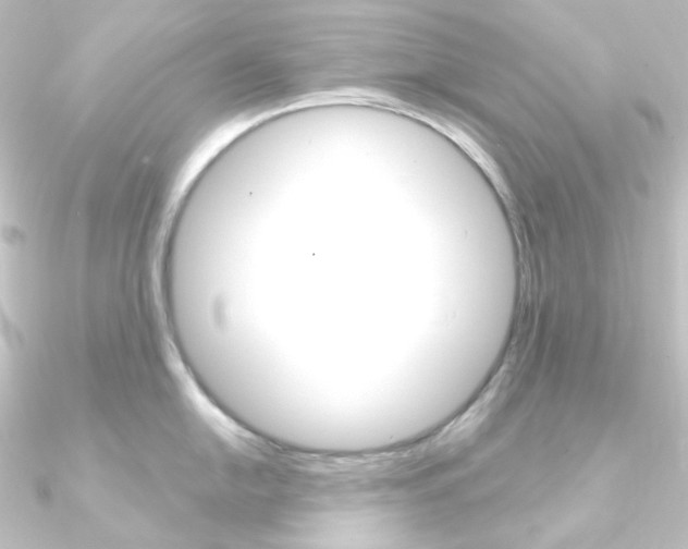 X0000090951054200708021057