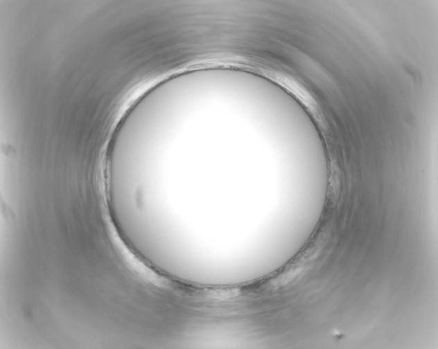 X0000090951055200708021057