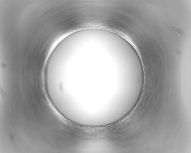 X0000090951056200708021057