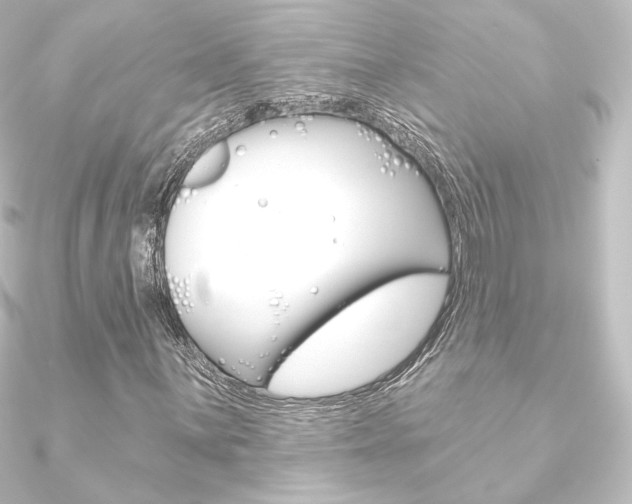X0000090951059200708021057
