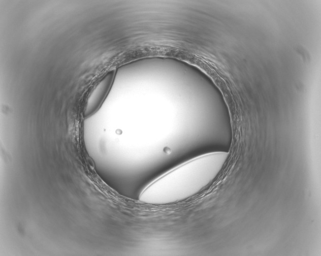 X0000090951061200708021057