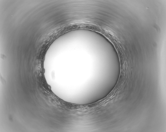 X0000090951062200708021057