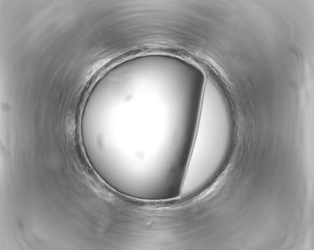 X0000090951065200708021057