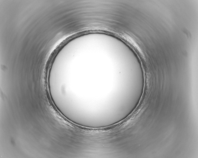 X0000090951068200708021057