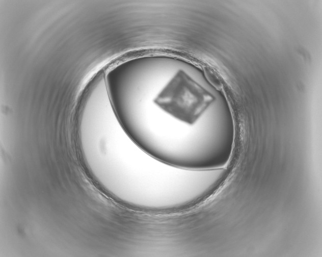 X0000090951069200708021057