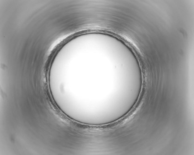 X0000090951070200708021056
