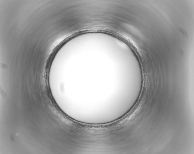 X0000090951071200708021056