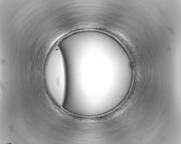 X0000090951073200708021056