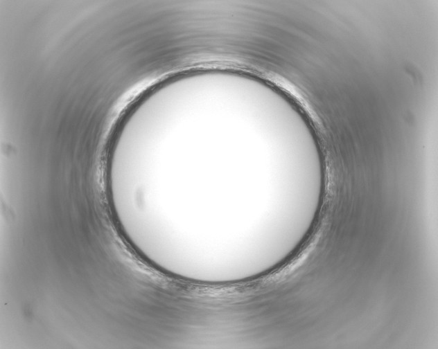 X0000090951074200708021056