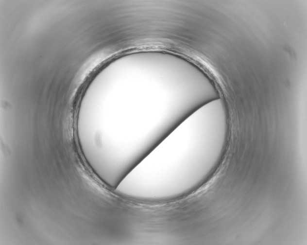 X0000090951075200708021056