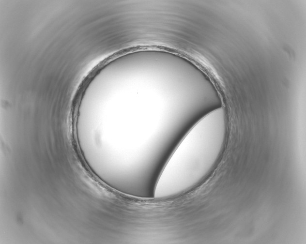 X0000090951076200708021056
