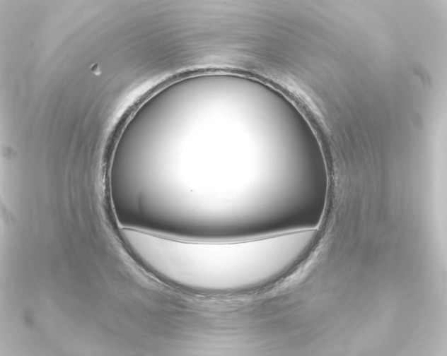 X0000090951077200708021056