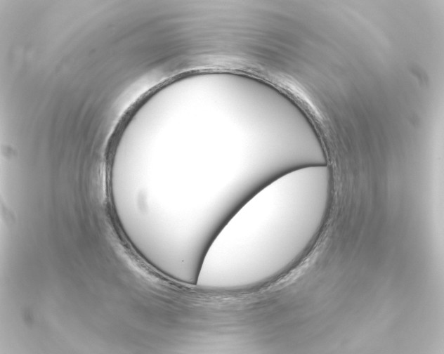 X0000090951079200708021056