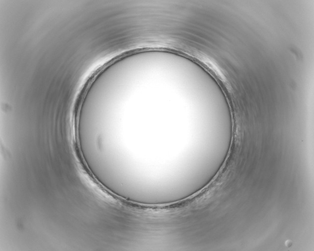 X0000090951080200708021056